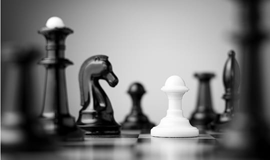 w3ctrl-services-web-development-about-chess-white