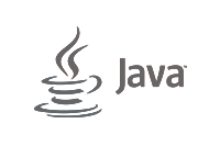 java-development-company-in-noida