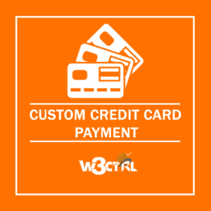 Custom-Credit-Card-Payment